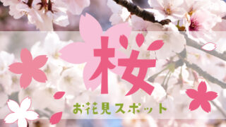 桜 お花見スポット