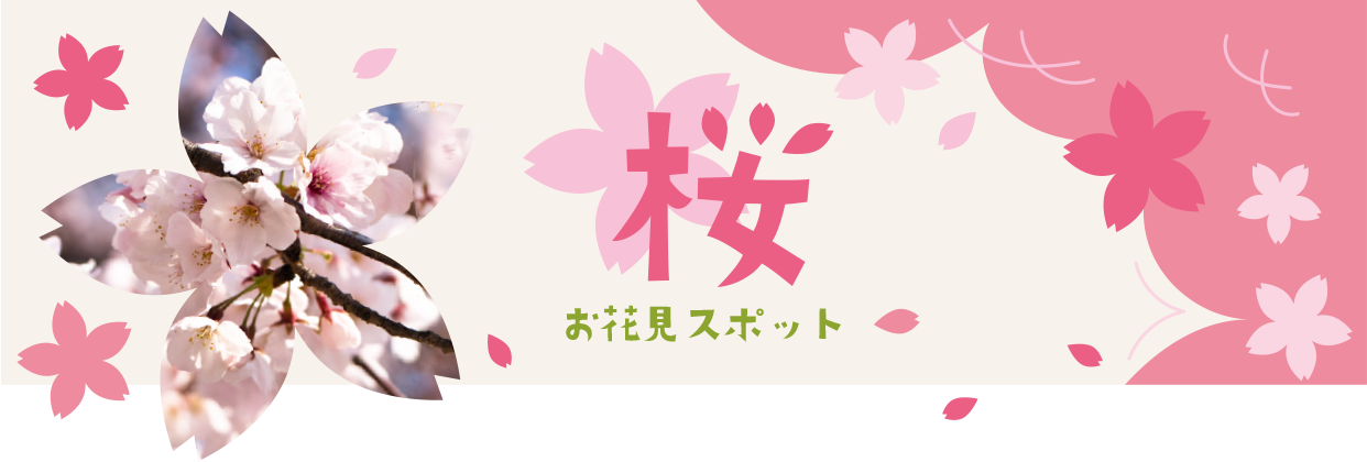 桜　お花見スポット